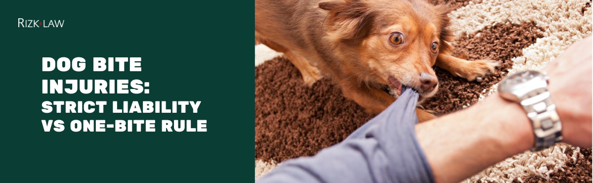Dog Bite Injuries: Strict Liability vs One-Bite Rule