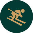 car accident icon