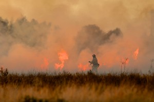 firefighter at wildfire