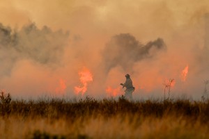 firefighter at wildfire