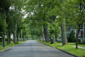 neighborhood street during day