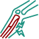 Broken bones icon
