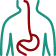 Internal organ icon