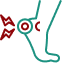 Ligament icon